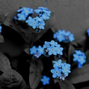 Meet your Posher, Ash